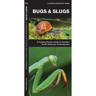 Bugs & Slugs: A Folding Pocket Guide to Familiar North American Invertebrates by James Kavanagh