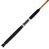 Shakespeare Ugly Stik Bigwater Downrigger Conventional Rod