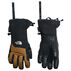 The North Face Mens Powdercloud GTX Etip Glove
