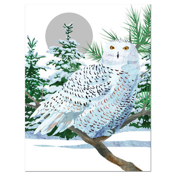 Allport Editions Snowy White Owl Boxed Holiday Cards