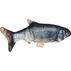 Spot Flippin Fish Cat Toy w/ USB Charger & Catnip
