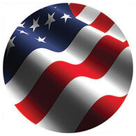 Carson Home Accents American Flag Round Car Coaster