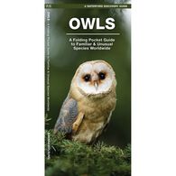 Owls: A Folding Pocket Guide to Familiar Species Worldwide by James Kavanagh