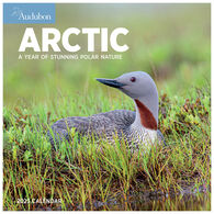 Audubon Arctic 2023 Wall Calendar by National Audubon Society