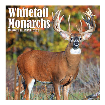 Willow Creek Press Whitetail Monarch Deer 2022 Wall Calendar
