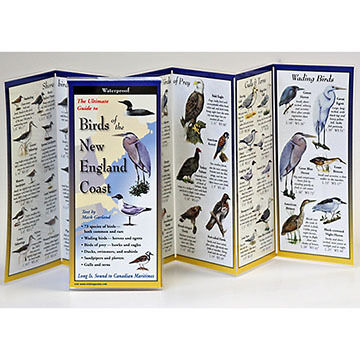 Birds of the New England Coast: FoldingGuides