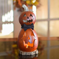 Meadowbrooke Gourds Gunther Miniature Tall Jack-O'-Lantern Gourd