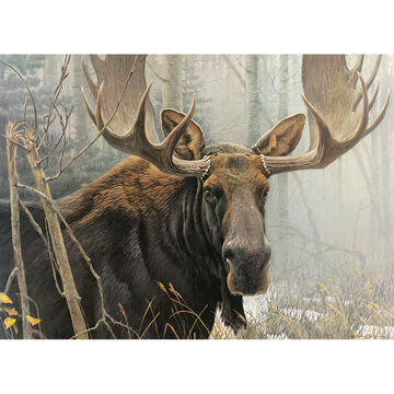 Cobble Hill Jigsaw Puzzle - Bull Moose