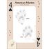 Animal Tracks of the Northeast Playing Cards