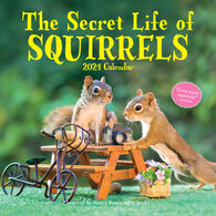 The Secret Life of Squirrels 2024 Wall Calendar by Nancy Rose