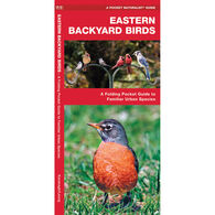Eastern Backyard Birds : A Folding Pocket Guide to Familiar Urban Species by James Kavanagh