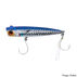 Intent Tackle Bay Series Popper Lure