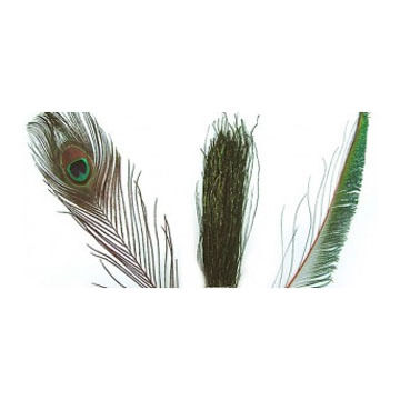 Wapsi Peacock Strung Herl Fly Tying Material