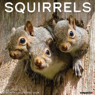 Willow Creek Press Squirrels 2024 Wall Calendar