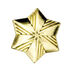 Girl Scouts Official Membership Star