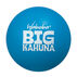 Waboba Big Kahuna Water Ball