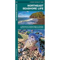 Northeast Seashore Life: A Waterproof Folding Guide to Familiar Animals & Plants by James Kavanagh & Waterford Press