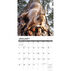 Willow Creek Press Squirrels 2024 Wall Calendar
