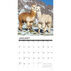 Willow Creek Press Alpacas 2023 Wall Calendar
