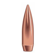 Speer Target Match BTHP 30 Cal. 168 Grain Rifle Bullet (100)