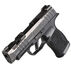 SIG Sauer 365XL Spectre 9mm 3.7 12-Round Pistol w/ 2 Magazines