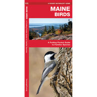 Maine Birds by James Kavanagh