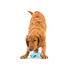 West Paw Design Zogoflex Qwizl Dog Treat Toy