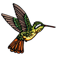 Sarah Angst Art Hummingbird Sticker