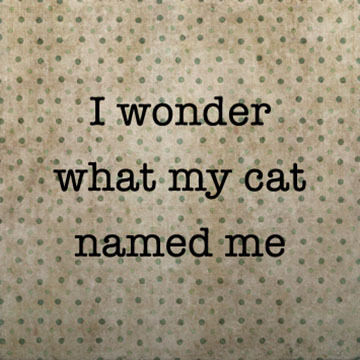 Paisley & Parsley Designs I Wonder What My Cat Named Me Marble Tiles Coaster