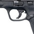 Smith & Wesson M&P9 Shield M2.0 Thumb Safety 9mm 3.1 7-Round Pistol