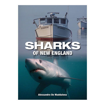 Sharks of New England by Allesandro De Maddalena