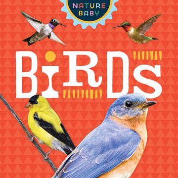 Nature Baby: Birds Board Book by Adventure Publications