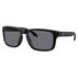 Oakley Standard Issue Holbrook USA Flag Collection Sunglasses