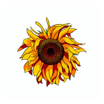 Sticker Cabana Sunflower Mini Sticker
