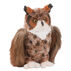 Douglas Company Plush Great Horned Owl - Einstein