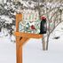 MailWraps Winter Birdhouse Magnetic Mailbox Cover