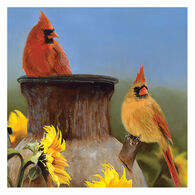 Carson Home Accents Cardinal On Jug Square Coaster