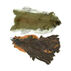 Wapsi Whole Pine Squirrel Skin Fly Tying Material