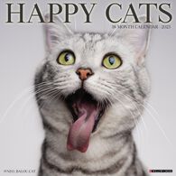 Willow Creek Press Happy Cats 2023 Wall Calendar