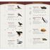 Animal Tracks of the Northeast: Your Way to Easily Identify Animal Tracks by Jonathan Poppele