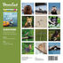 Maine Wildlife: Down East 2024 Wall Calendar by Editors of Down East