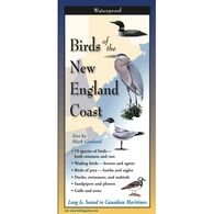 Birds of the New England Coast: FoldingGuides