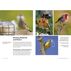 Feed the Birds: Attract and Identify 196 Common North American Birds by Chris Earley