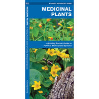 Medicinal Plants: A Folding Pocket Guide to Familiar Widespread Species by James Kavanagh