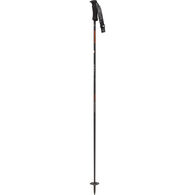 Swix Medieval+ Alpine Ski Pole - 1 Pair