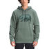 The North Face Mens TNF Bear Pullover Hoodie - Past Season
