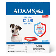 Adams Plus Dog Flea & Tick Collar