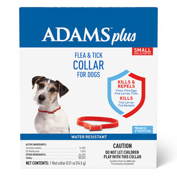 Adams Plus Dog Flea & Tick Collar