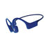 Shokz OpenSwim Open-Ear Headphone