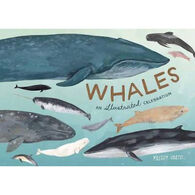 Whales: An Illustrated Celebration by Kelsey Oseid